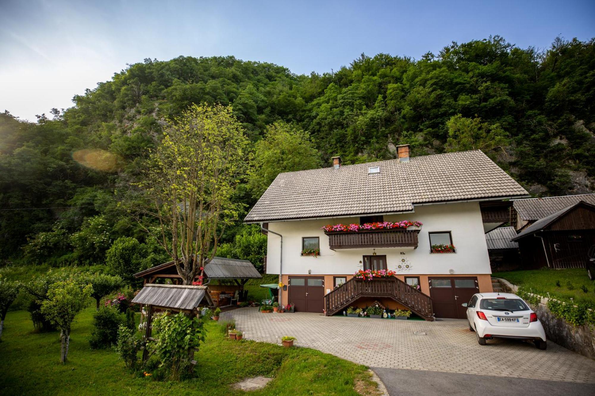 Sobe Licef Bohinj
